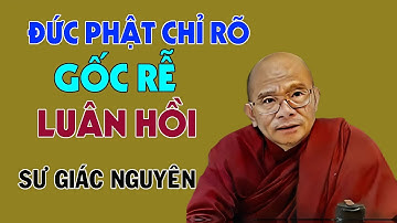 Đức Phật Chỉ Rõ Gốc Rễ Của Luân Hồi | Sư Giác Nguyên | Sư Toại Khanh