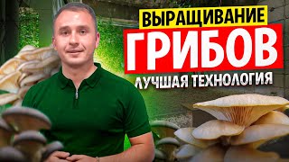 Выращивание грибов в домашних условиях. Бизнес в гараже. Грибной бизнес