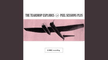 When I Dream (BBC Session Peel Plus 1980)