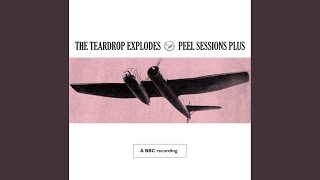 Video thumbnail of "The Teardrop Explodes - When I Dream (BBC Session Peel Plus 1980)"