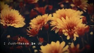 Peter Raffoul - I Just Wanna Be Ok (Visualizer)