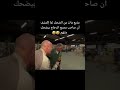 ضحكة دجاجة