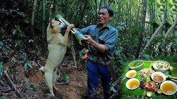 Tìm thức ăn trong rừng tre, cuộc sống tự nhiên