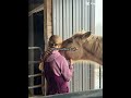 Unfortunately the palomino is not mine but I love him like he is😢