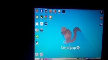 How to install Puppy Linux to a usb