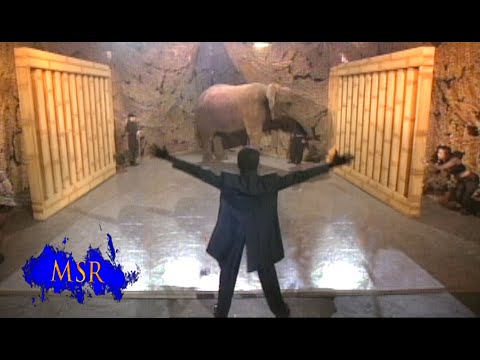 HOW TO MAKE A GIANT ELEPHANT VANISH! - YouTube