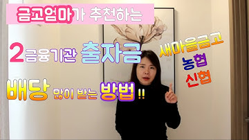 2금융은행 출자금 배당 많이 받는 방법!!새마을금고,농협,신협!![금고엄마]