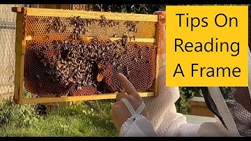 Episode 16: Learning How To Read A Brood Frame.