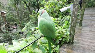 TEST XF605 4K60P