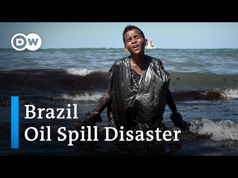Who is to blame for a devastating oil spill near Brazil? | DW News