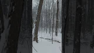 snow day #short