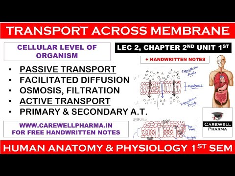 Transport across membrane
