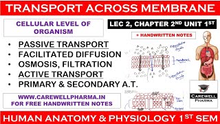 Transport across membrane || L-2 Ch-2 Unit 1 || hap 1st semester b pharmacy || Carewell Pharma