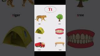 Letter Tt Words | Things that Start with Tt | T words | Learn Phonics Net Worth
