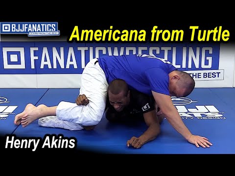 Americana From Turtle by Henry Akins
