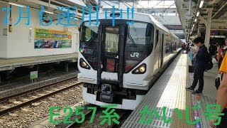 【中央線臨時特急(2)】E257系0番台(長モトM114編成)「かいじ188号」八王子駅到着シーン