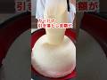 【大食い】食費を見て気絶＼(^o^)／ #爆食 #節約 #大食い #food #料理