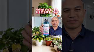 Unlock Secret Flower Growth: Lao Zhang's Top-Rated Nutrient Formula