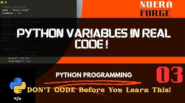 Python Variables in Practice | Hands-On Coding with Real Examples (Python Tutorial #2)