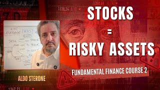 Finance 101 (Part 2): Stocks, Private Equity & Risky Assets Explained