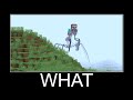 Giant Spider Mutant Steve in Minecraft wait what meme part 178