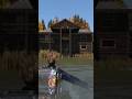 Base Building Plus #dayz