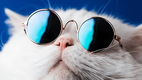 best top 2 ever | "the end of time" by ZodiacGMD (me) | IGDPS