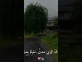 هذا أبي سندي وظهري في لحياة