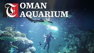 Oman Aquarium - the first in the Sultanate