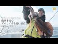 【猛吹雪】冬のアオリイカに挑む⁉︎ティップラン・エギング攻略！ - 釣りするげん@ぱーしー #12月能登半島アオリイカ #石川県アオリイカ #アオリイカ船釣り