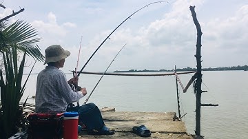 Câu cá sông Soài rạp Nhà bè, kiếm cá này về làm khô