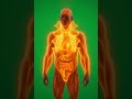 The Scary Truth About What Spicy Food Does To Your Organs #humanbody #anatomy #facts #health