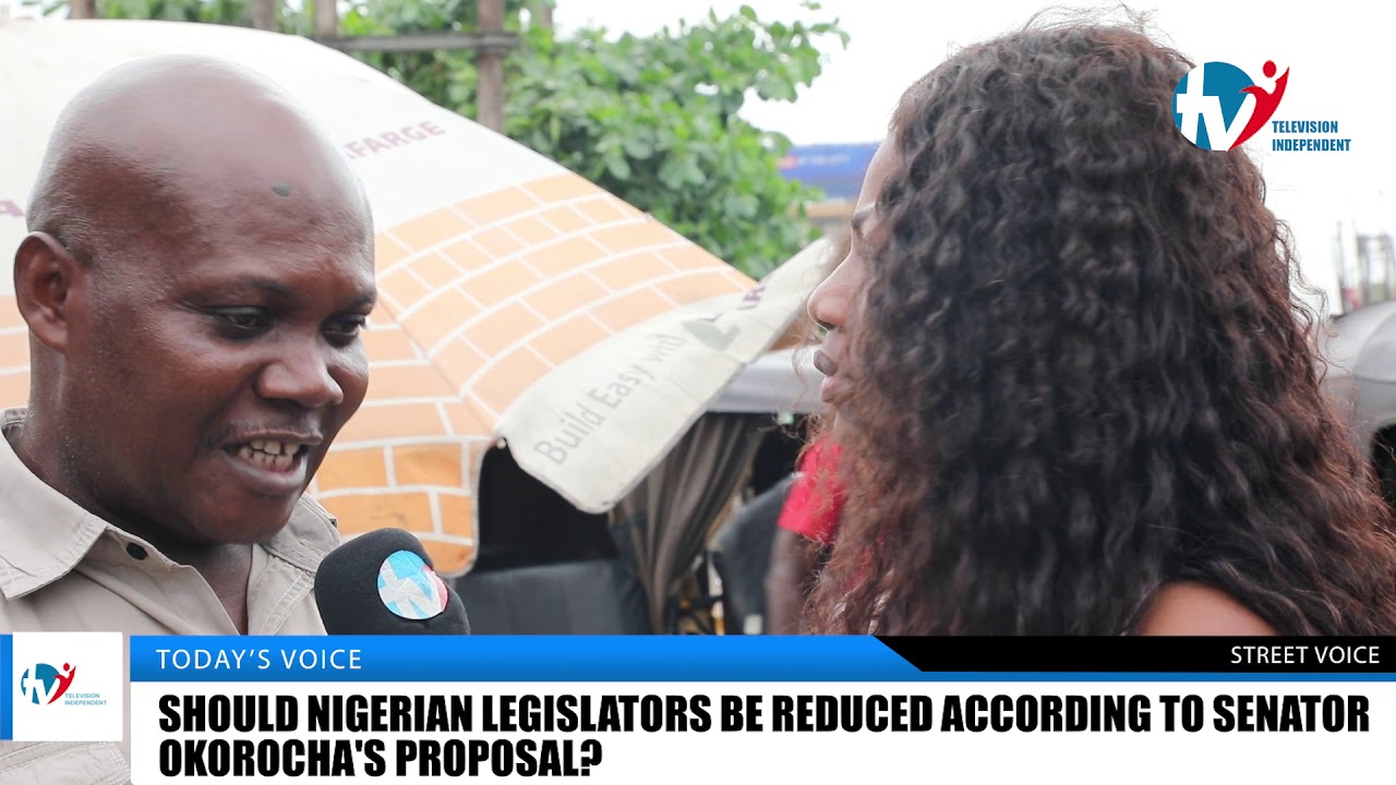 "Number Of Nigerian Legislators Should Be Reduced" | TV Independent