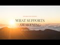 What Supports Awakening? Mp3 Song