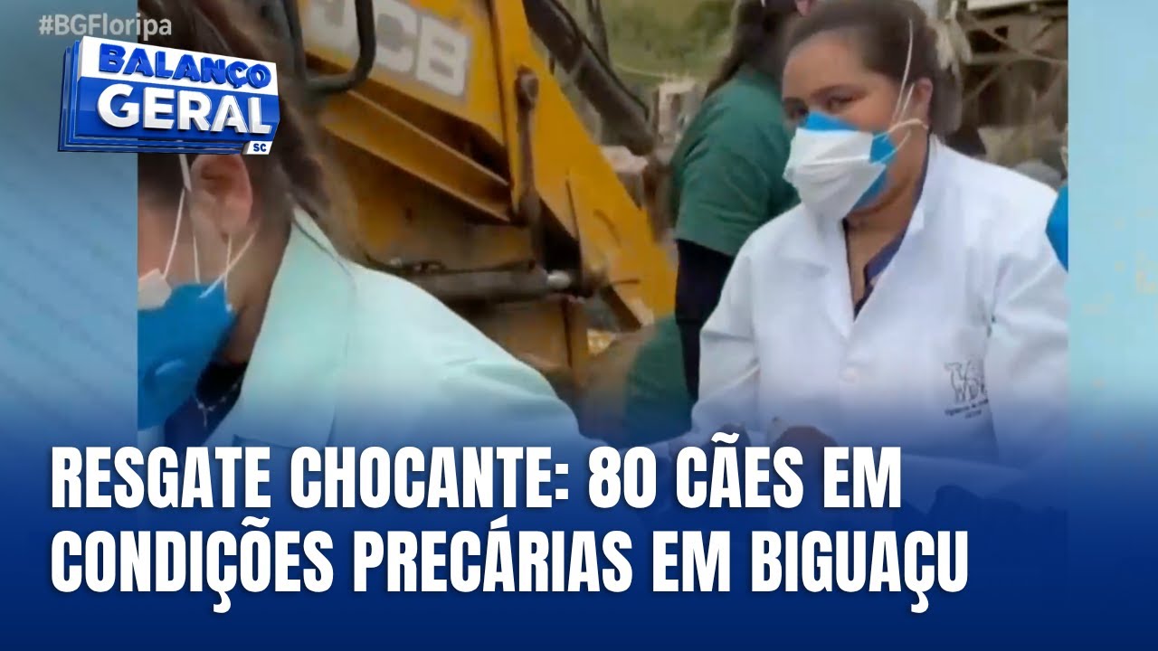 Resgate de cães desnutridos e em condições precárias
