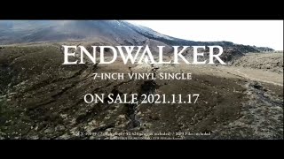 Endwalker teaser mv but looped