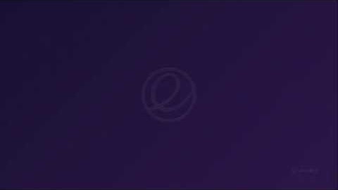 elementaryos 5.0 (beta2)