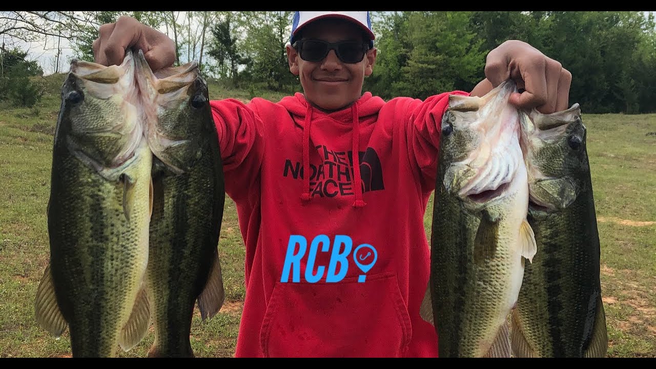 FISHING a STOCKED Pond... YouTube