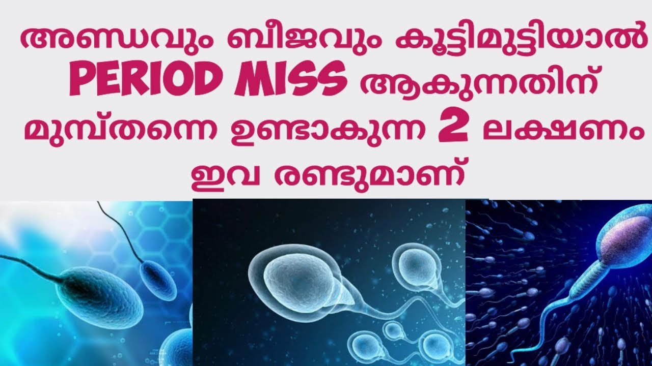 2 Early Pregnancy Symptoms Before Missed Period Malayalam Deechus World