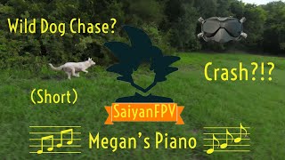 Wild Dog Chase | FPV Drone | CRASH | DJI FPV