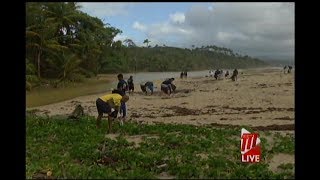 Nature Seekers' Matura Beach Clean Up