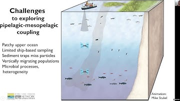 California Current Ecosystem LTER Site Lightning Talk 2020 05 06