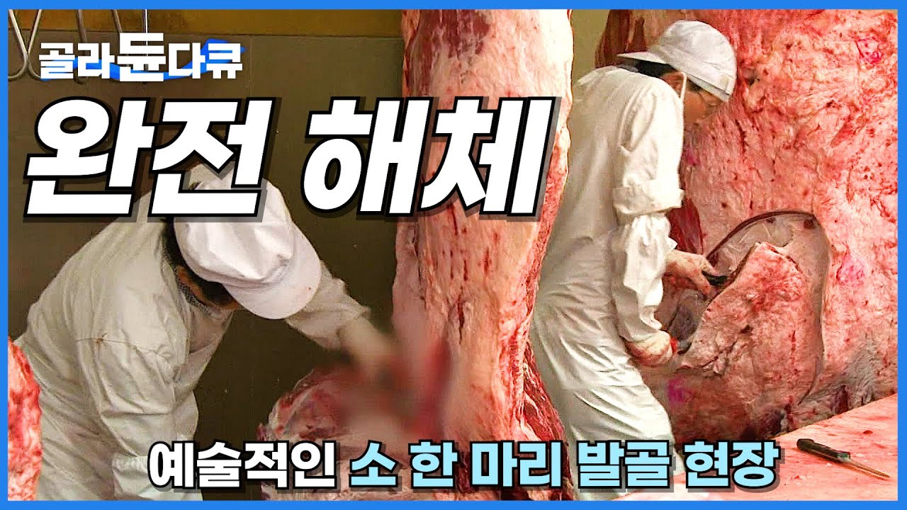 고래도 잡아 먹는 거대 식인상어 뱃속 구경하기! 아기집부터 머릿속까지 완벽 해체작업 Giant SHARK Cutting Skill / Korean street food