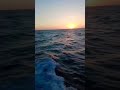 دحية انا رفيقي فؤاد ابو بنيه خليل الطرشان