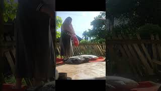 Ayoo Bunda Bunda Kita Bersih Bersih Rumah Lagi