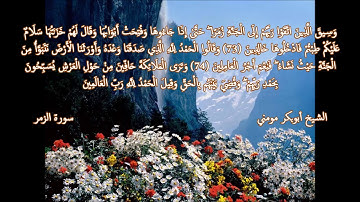 سورة الزمر II الشيخ أبوبكر مومني يحاكي الشيخ الشريم صلاة العشاء 28-01-2019 الجزء الثاني