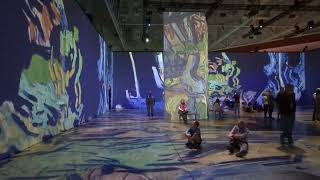 Beyond Van Gogh