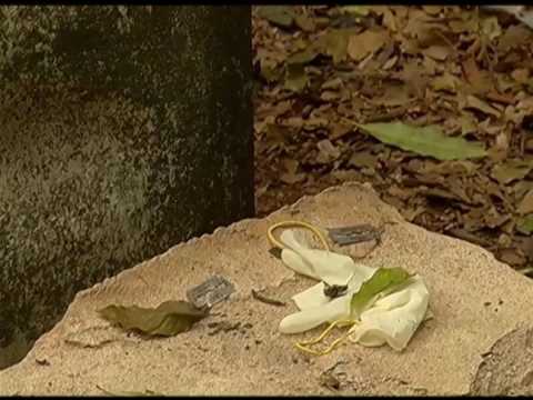 Ponte Nova: Começa o julgamento do caso da grávida que teve bebê arrancado da barriga - YouTube