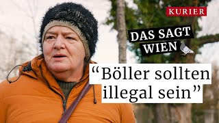 Silvester, Böller Und Hundebesitzer - Das Sagt Wien