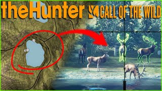 I FIXED MY RED DEER GRIND! Dont Make The Same Mistake I Did... Call of the wild